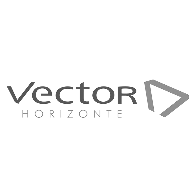 vector