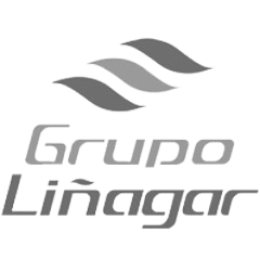 grupo liñagar